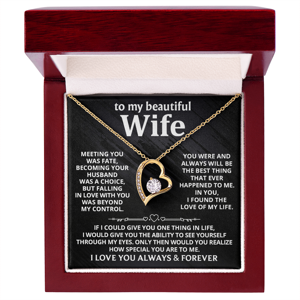DS-1509040 - Wife - Meeting you  - Forever Love Necklace