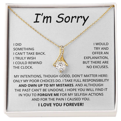 Im Sorry Gifts For Her, Apology Gifts For Her, I Am Sorry Gifts for Wife, Soulmate Gifts - I Take Full Responsibility - Giant Sorry Forgiveness Necklace with Message Card and Gift Box