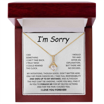Im Sorry Gifts For Her, Apology Gifts For Her, I Am Sorry Gifts for Wife, Soulmate Gifts - I Take Full Responsibility - Giant Sorry Forgiveness Necklace with Message Card and Gift Box