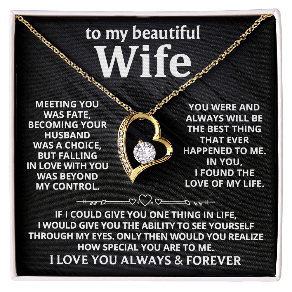 DS-1509040 - Wife - Meeting you  - Forever Love Necklace